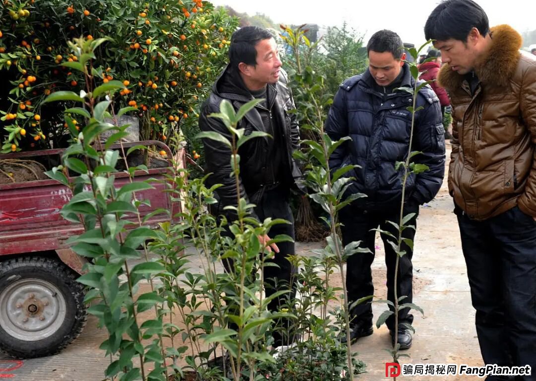 这4个骗局，农村老人一定要注意！了解下不吃亏，记得告诉家人