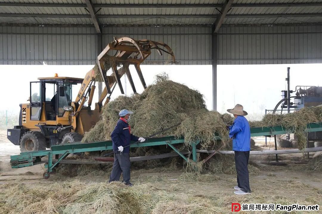 这4个骗局，农村老人一定要注意！了解下不吃亏，记得告诉家人