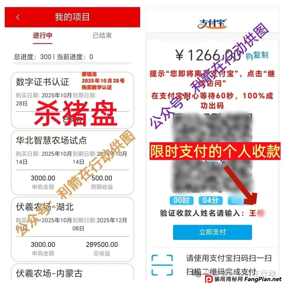 有人被骗400万!这13个互联网项目全是骗局,你中招了吗? 有人被骗400万!这13个互联网项目全是骗局,你中招了吗?