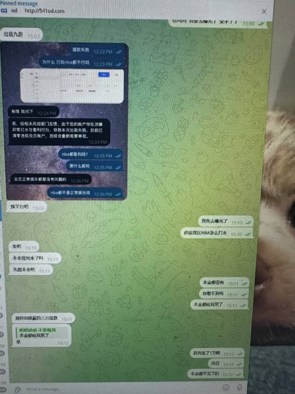 爆料九游娱乐,九游是年底里要收割了嘛 爆料九游娱乐,九游是年底里要收割了嘛