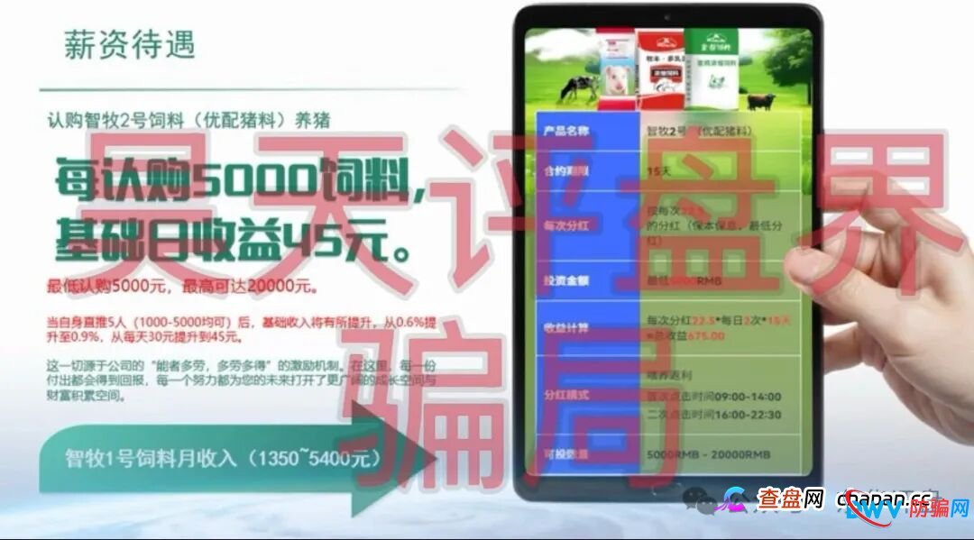 智慧养殖又一个分红类资金盘骗局,日收益高达1.2%,多地发布预警,远离!(1) 智慧养殖又一个分红类资金盘骗局,日收益高达1.2%,多地发布预警,远离!(1)