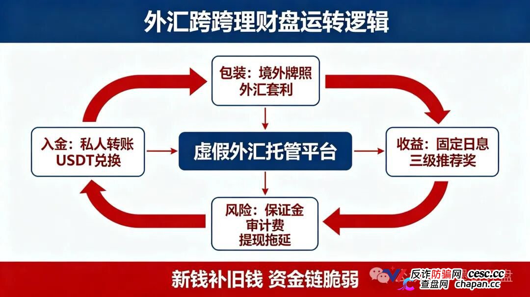 紧急预警！7月10个新开资金盘全曝光，千万别投！