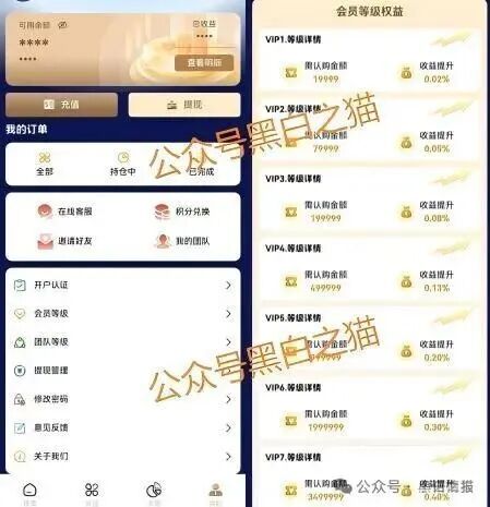 四川一女子拉人“投资”虚拟币项目致200人损失1千余万元成为“网逃人员”落网!